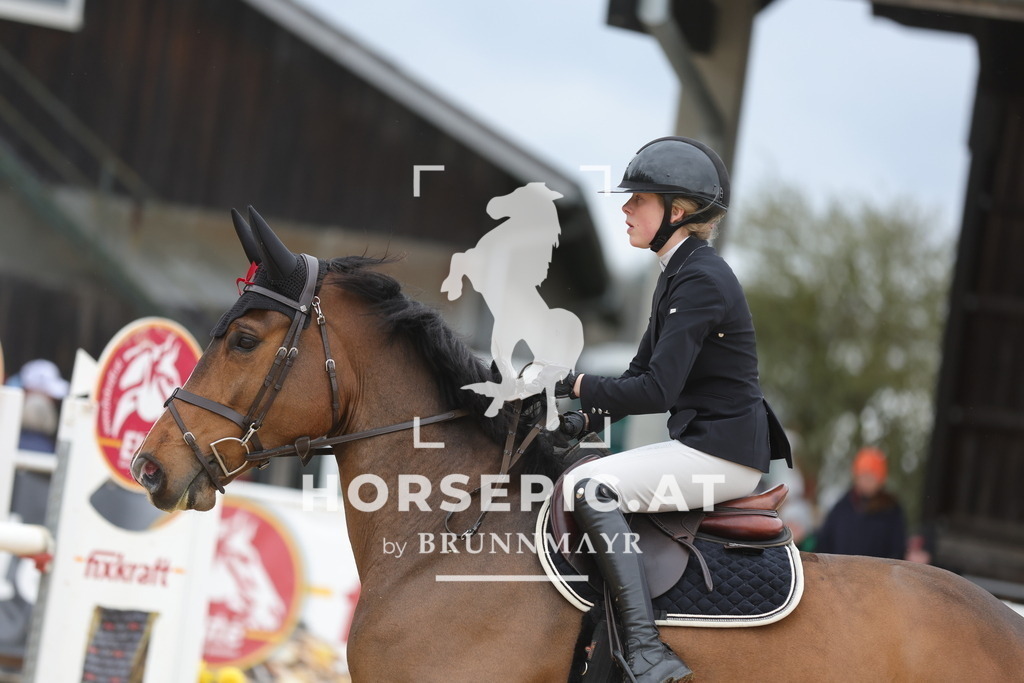 0P6A1774 | Willkommen bei Brunnmayr - Design & Fotografie – Ihrem Spezialisten für Reitturniere und Pferdeveranstaltungen in Oberösterreich, Salzburg und Bayern! Seit über 17 Jahren sind wir leidenschaftlich dabei.