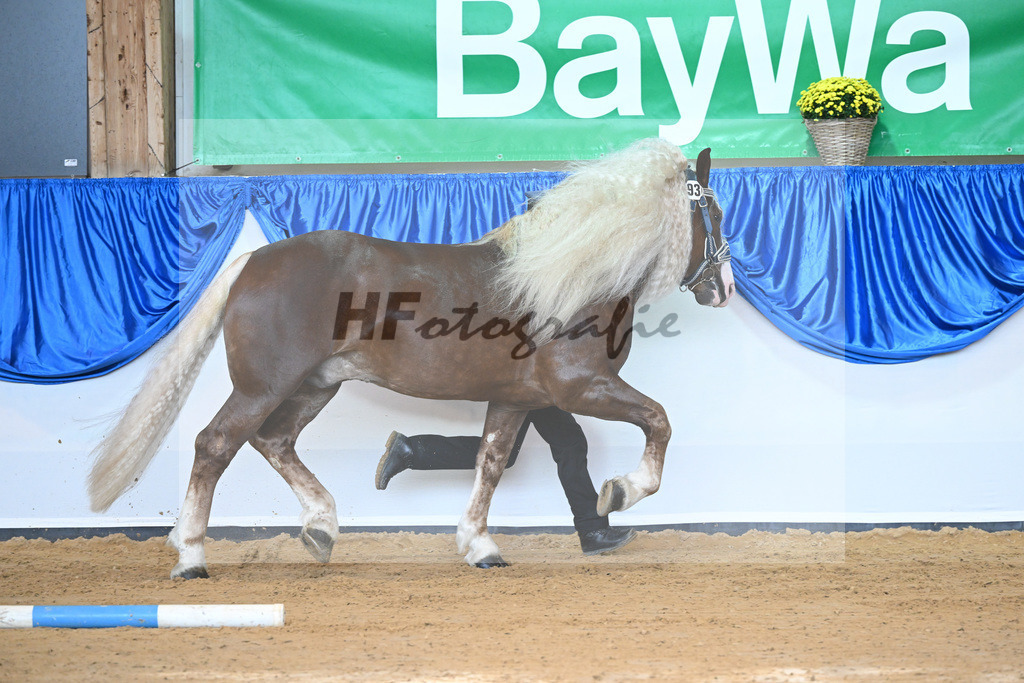 Kat-Nr. 93 Verondo_HLG Schwaiganger_53220575 | hf-fotografie - Realisiert mit Pictrs.com
