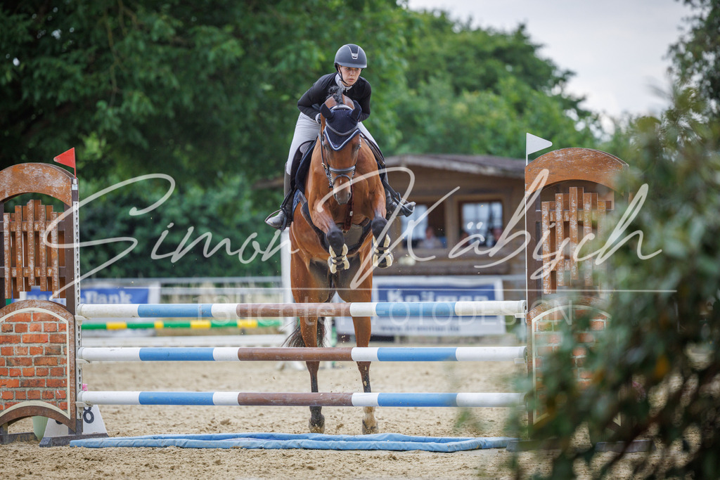 20260705-_3LI6303 | Tierfotografie Pferde, Hunde, Katzen, Haustiere.
Turnierfotografie Reitturniere, Reiten, Springreiten, Dressur in Hanau, dem Main-Kinzig-Kreis und dem Rhein-Main- Gebiet um Frankfurt