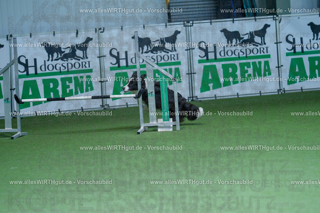 @allesWIRTHgut_Tierfotografie - www.allesWIRTHgut.de - 2604251252-7R502984 | Professionelle Tierfotografie in Mönchengladbach von Daniel Wirth (allesWIRTHgut). Liebevolle & natürliche Bilder von Hunden & Katzen für unvergessliche Erinnerungen.