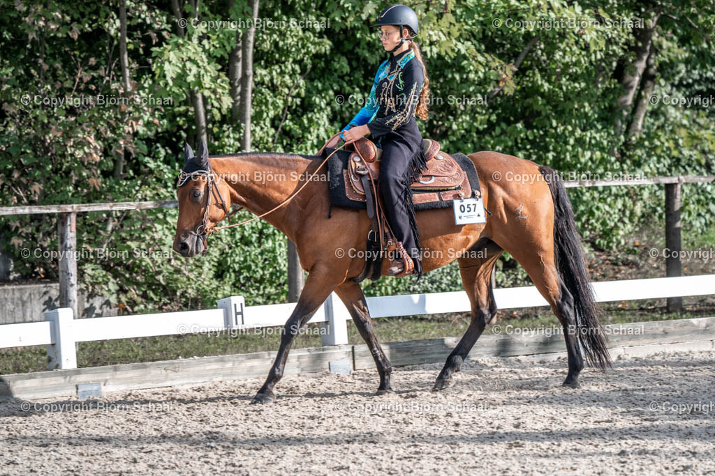 HOB08045 | BS-foto