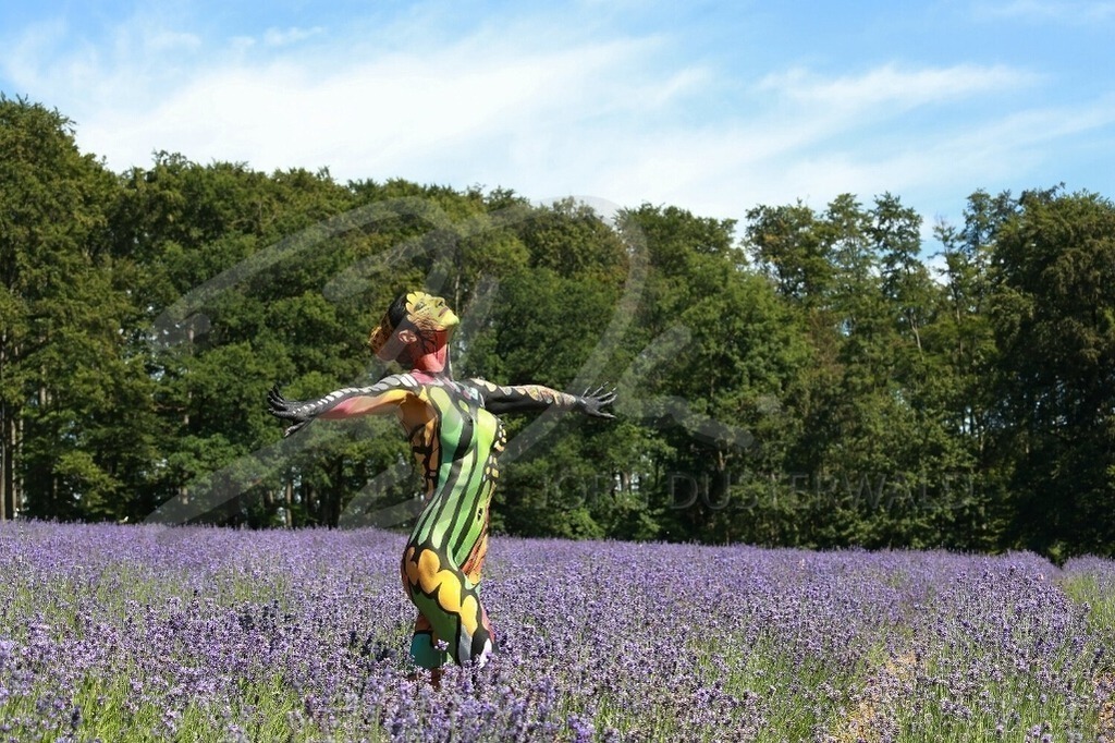 Bodypainting-LAVENDELBUTTERFLY_2938 | #003 | Modell: Mandy | Foto: Peter Bunn - Realisiert mit Pictrs.com