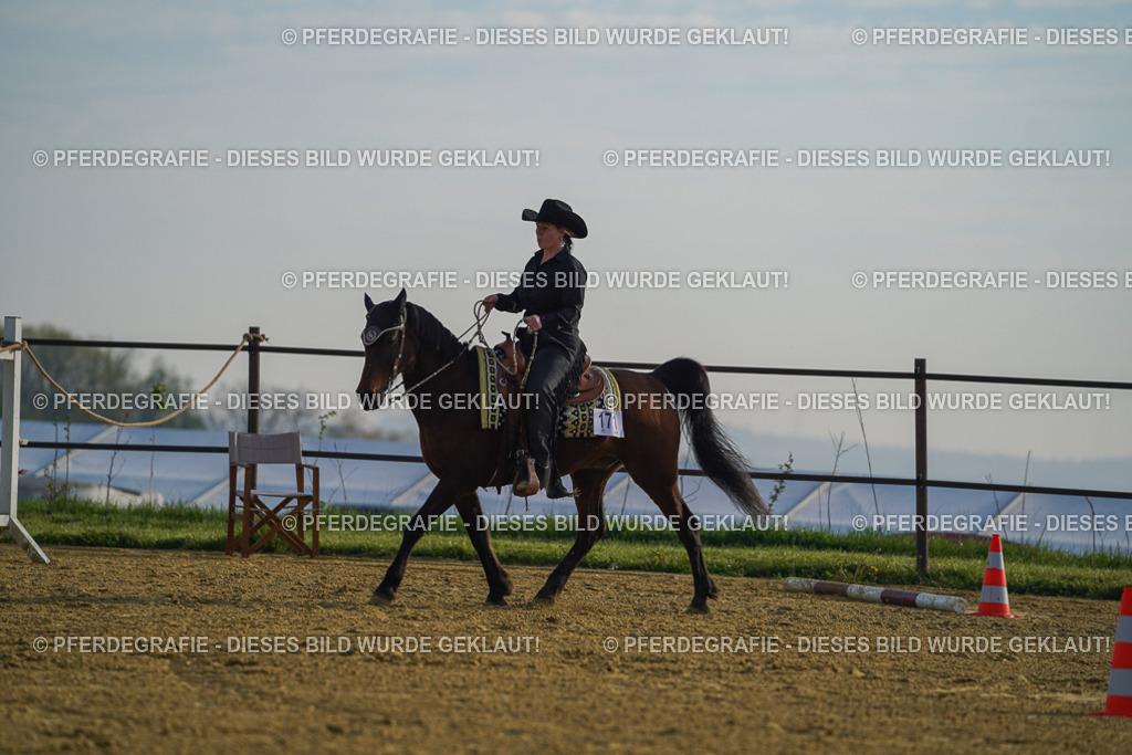 DSC00445 | Pferdegrafie