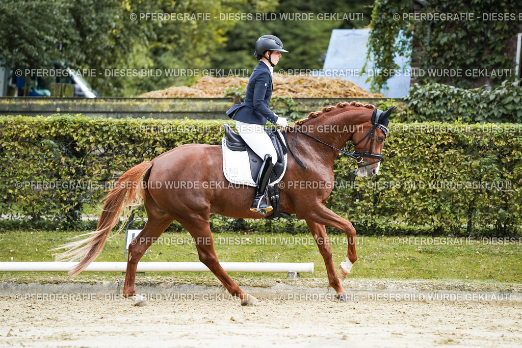 DSC06891 | Pferdegrafie