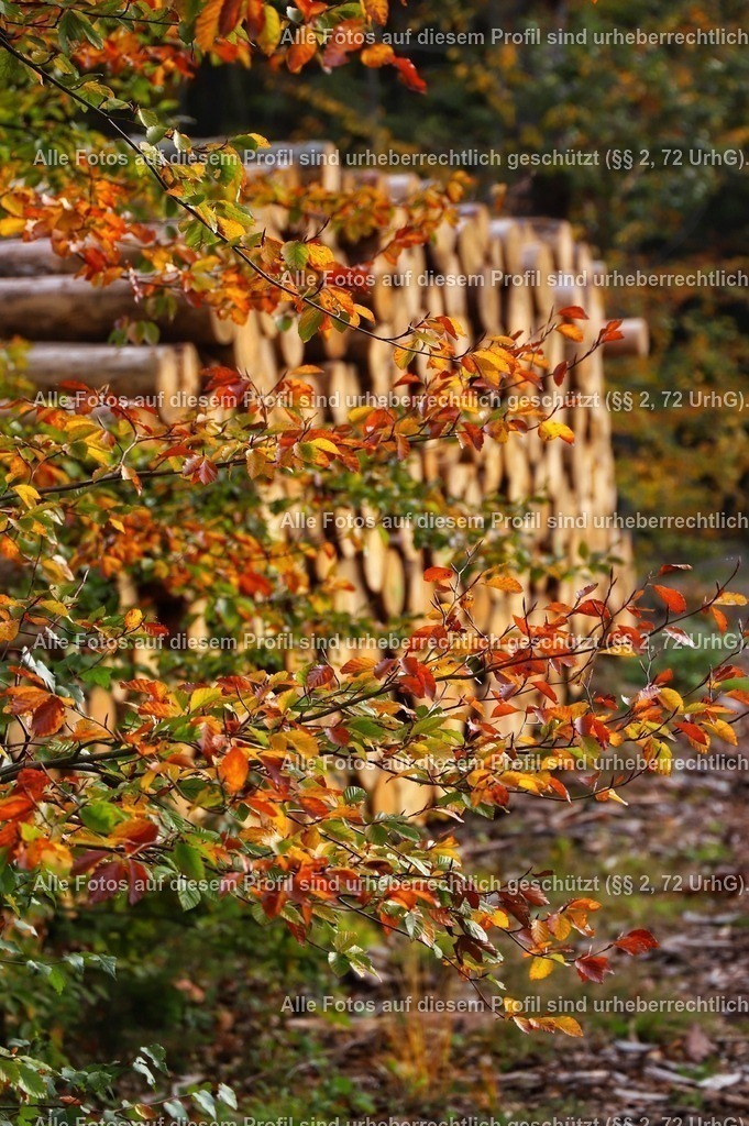 Snapseed(89) | krollfotografie - Realisiert mit Pictrs.com