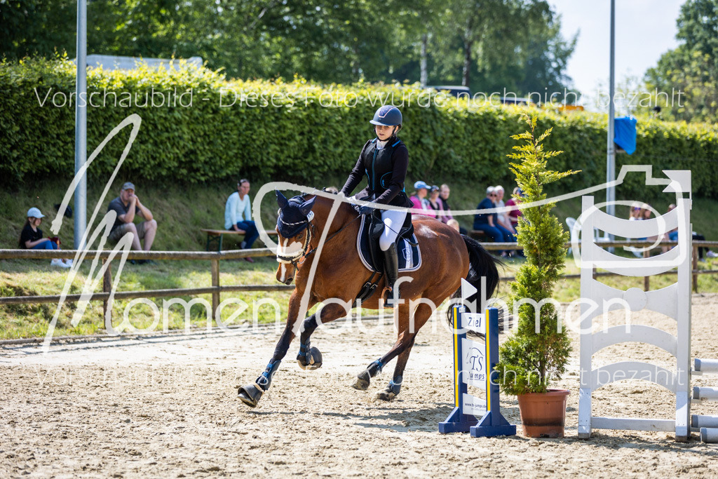 Donop24-SprRW-028 | MomenTaufnahmen Pferdesportfotos