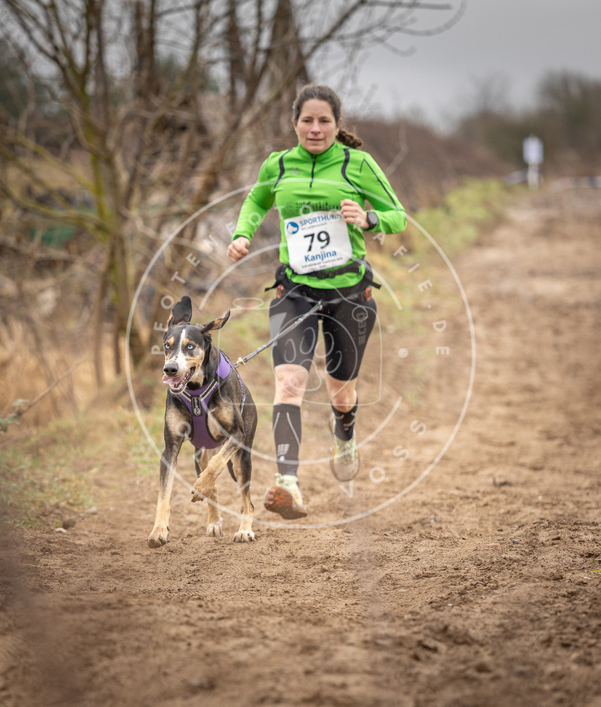 DV3A9843 | Hundefotografie, Tierfotograf, Pfotenfotografie, Fotoshooting Hund, Hunde Portrait, Hundesport, Hundeportraits, Heideshooting, Hunde, Sportfotograf, Hundefotograf, Turnierhundsport, THS,  - Realisiert mit Pictrs.com