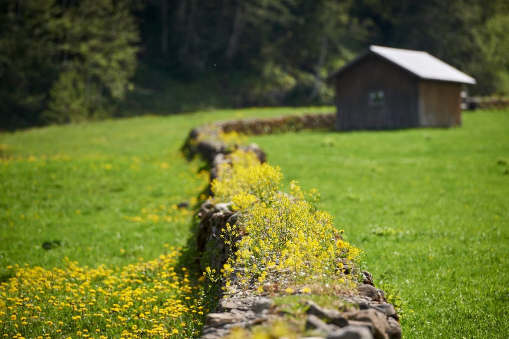 Trockensteinmauer und Holzhuette | Schoenebach, Austria - May 25, 2016: Trockensteinmauer und Holzhuette. - Realisiert mit Pictrs.com