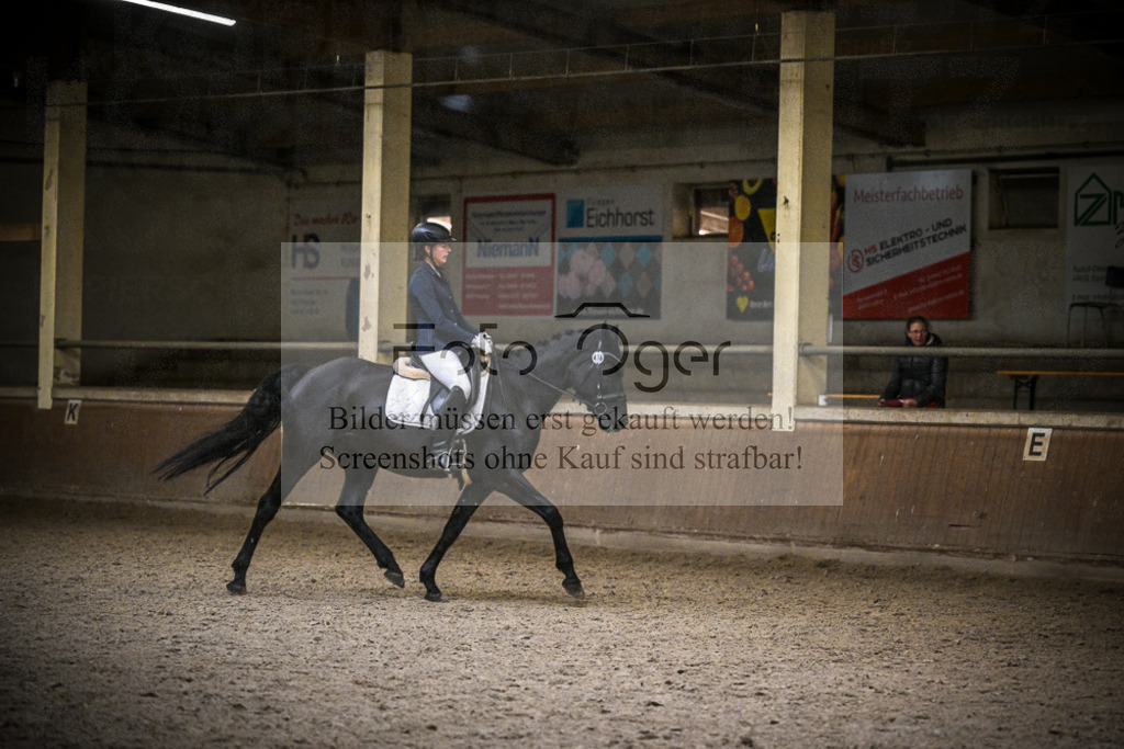 DOS_0024 | Entdecke hochwertige Reitturnierfotos von Foto Oger. Professionell, emotional und authentisch – jetzt Lieblingsmomente im Shop bestellen.Deutschlandweite Turnierfotografie. - Realisiert mit Pictrs.com