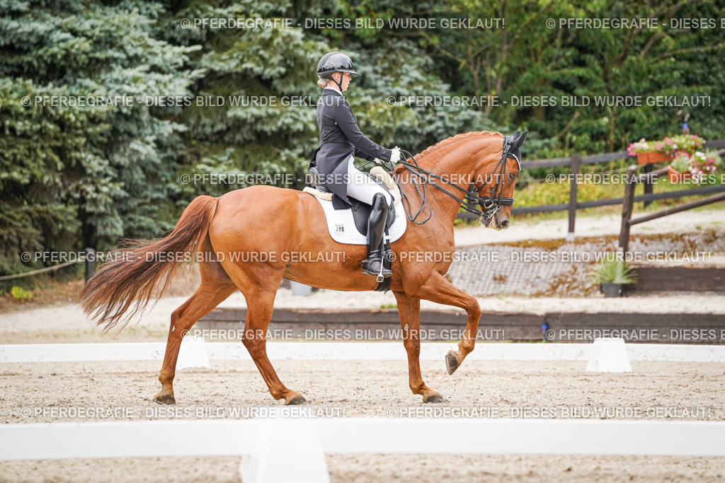 DSC05259 | Pferdegrafie