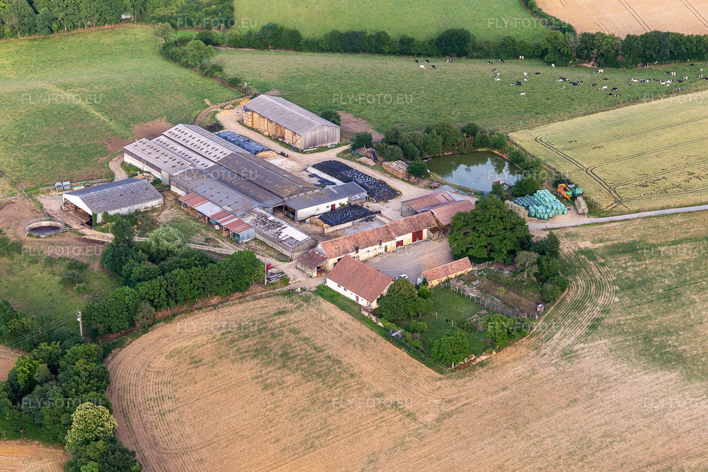 Vue aérienne: La Goupillière à Semur-en-Vallon dans le département Sarthe, France. Photo: IMG_132391.jpg prise le 14/06/2022 par Werner Riehm/FLY-FOTO.euRésolution de l'original: 5472 x 3648 px