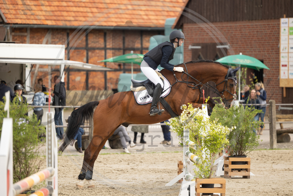 994A9523 | sabrinanicolaifotografie - Realisiert mit Pictrs.com