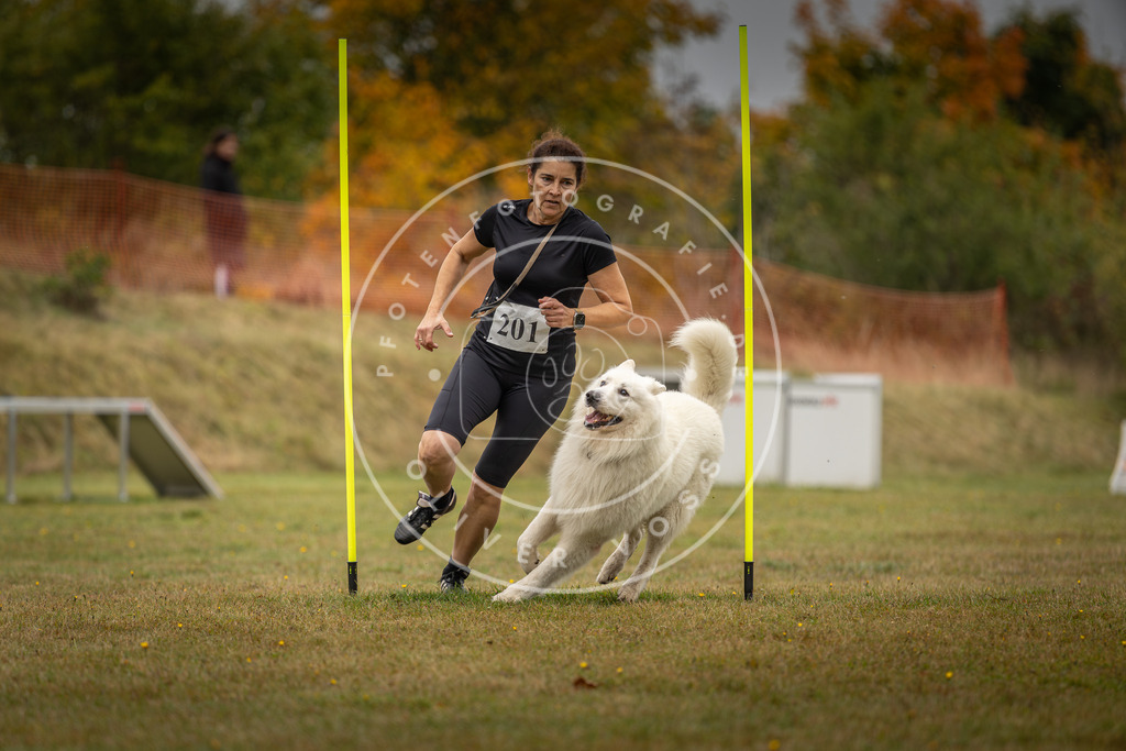 Pfotenfotografie_DV3A1955 | Hundefotografie, Tierfotograf, Pfotenfotografie, Fotoshooting Hund, Hunde Portrait, Hundesport, Hundeportraits, Heideshooting, Hunde, Sportfotograf, Hundefotograf, Turnierhundsport, THS,  - Realisiert mit Pictrs.com