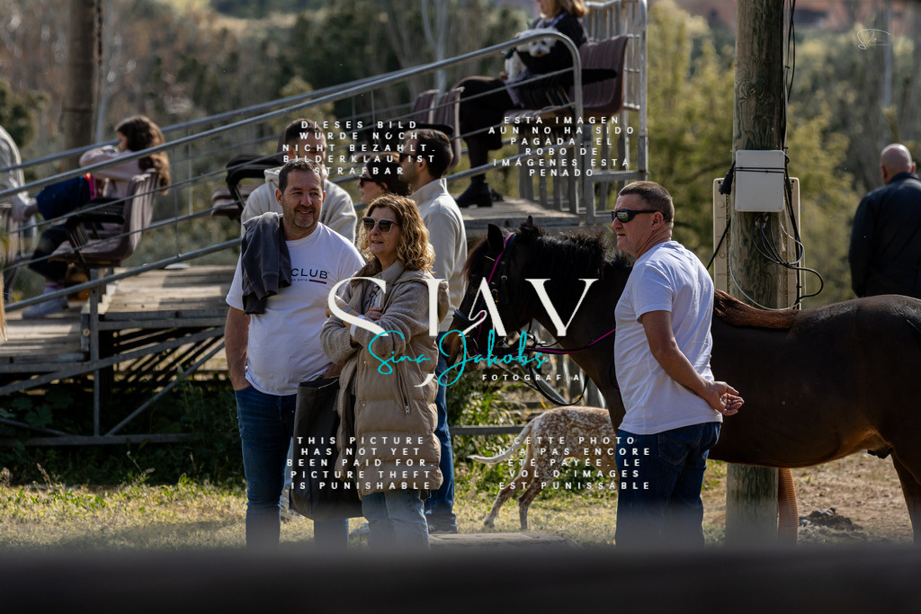 IMG_4404 | s-jay-photography - Realisiert mit Pictrs.com