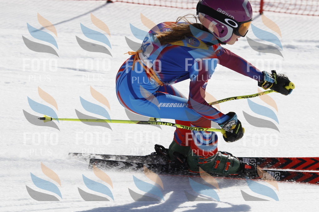 _U3G0080 | holidayphoto