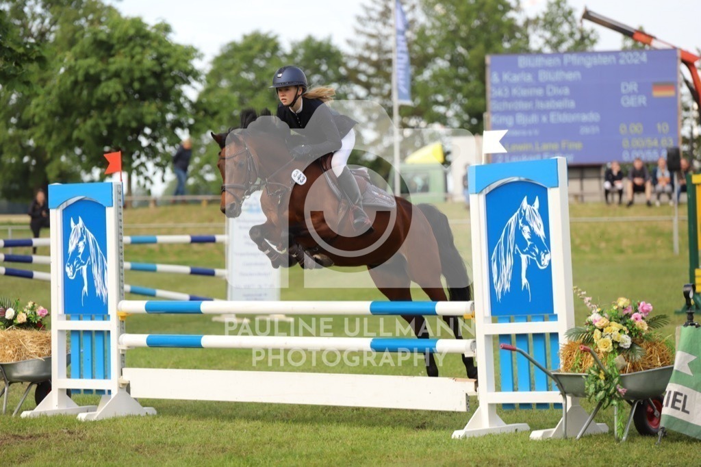 IMG_6845 | Pauline Ullmann Photography - Realisiert mit Pictrs.com