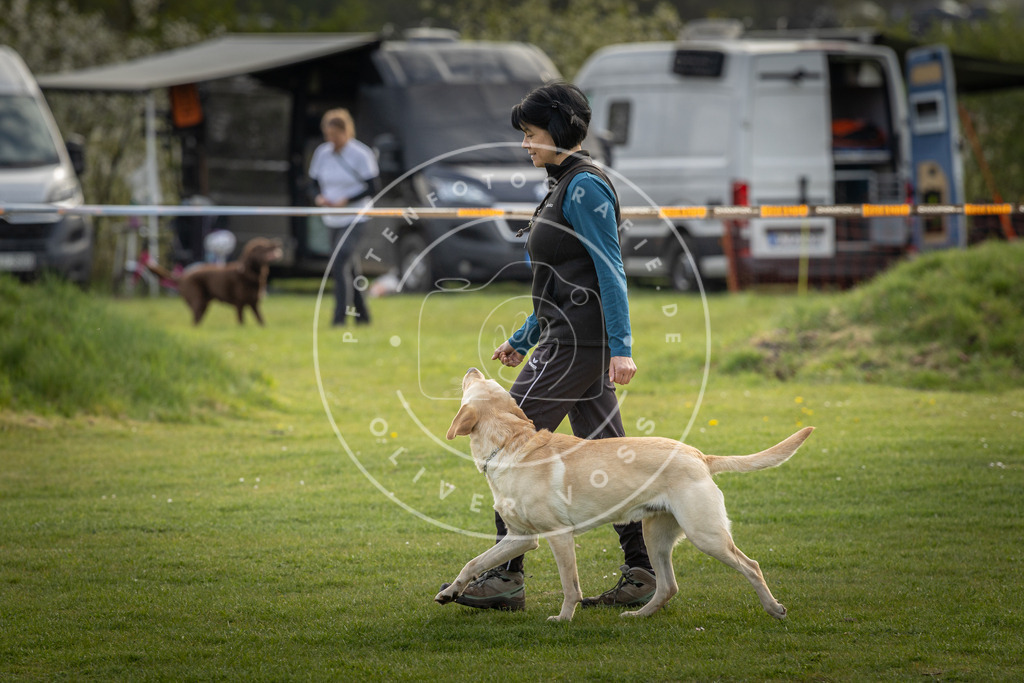 Pfotenfotografie_DV3A4918 | Hundefotografie, Tierfotograf, Pfotenfotografie, Fotoshooting Hund, Hunde Portrait, Hundesport, Hundeportraits, Heideshooting, Hunde, Sportfotograf, Hundefotograf, Turnierhundsport, THS,  - Realisiert mit Pictrs.com