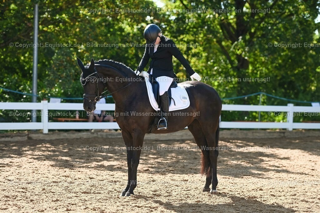 20230715_06_Dressurpferdeprfg. Kl.A_0330 | equistock