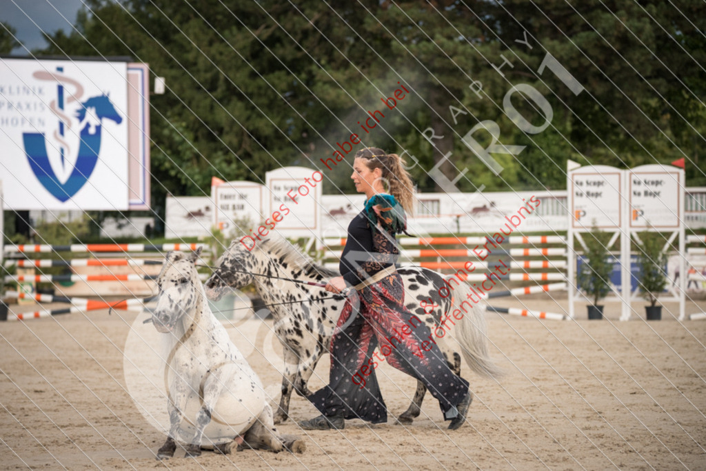 DSC_0022 | Sport-, Event- und Tierfotos in Profiqualität. Einfach auswählen, bestellen und herunterladen. Dein Moment – perfekt festgehalten.