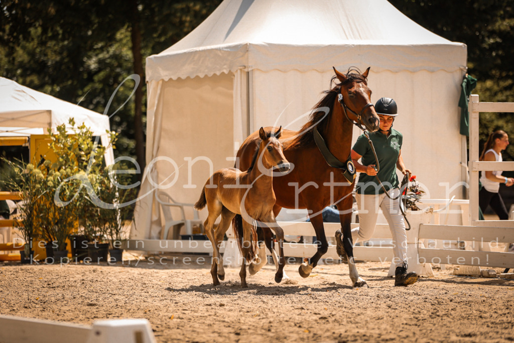 03.DoAB00079 | Leoni Ertmer Photography - Realisiert mit Pictrs.com