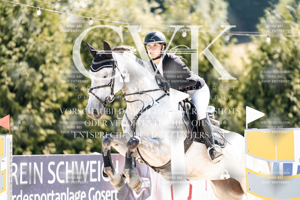 CK909108 | Turnierfotografie Pferdefotografie Trier Rheinland-Pfalz Pferdesport Reitsport Tierfotografie Sportfotografie Pferdevideo Pferdevideografie Equestrianvideography equestrianphotography  - Realisiert mit Pictrs.com