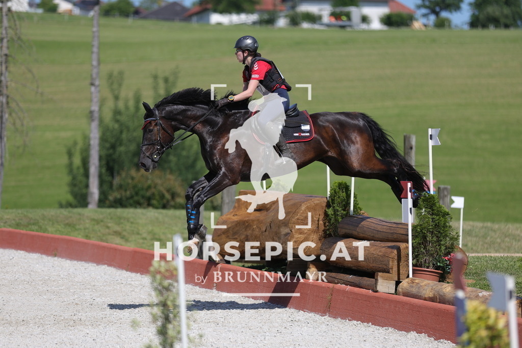 0P6A5999 | Willkommen bei Brunnmayr - Design & Fotografie – Ihrem Spezialisten für Reitturniere und Pferdeveranstaltungen in Oberösterreich, Salzburg und Bayern! Seit über 17 Jahren sind wir leidenschaftlich dabei.