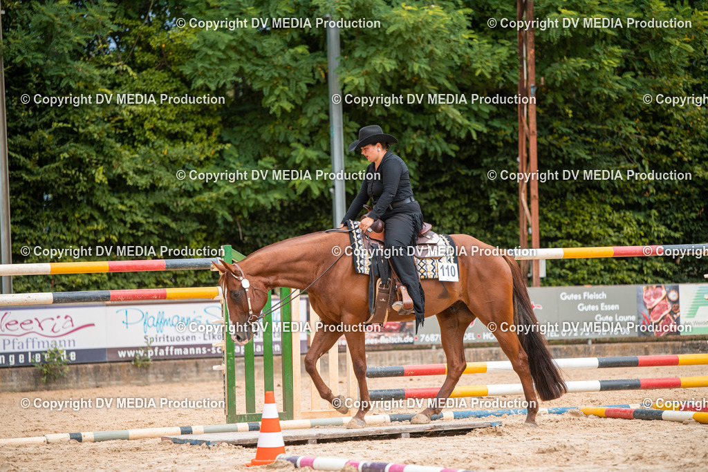 ZS2_7963 | dv-media-shop - Realisiert mit Pictrs.com