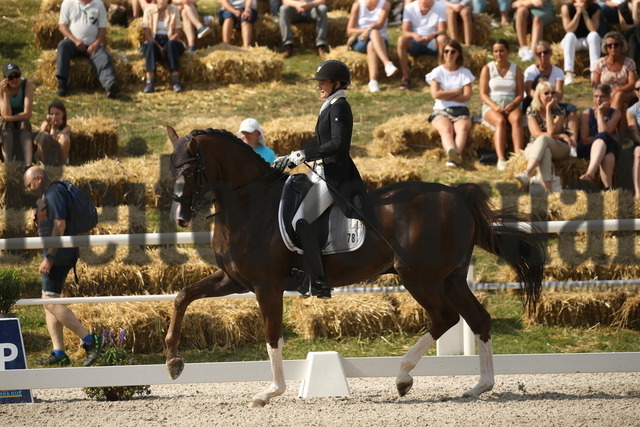 Birkhof_2022_GrandPrixSpecial_Jasmin Schaudt_Fano 3 (4) | Alle Fotos der Reiterjournal Fotografin Doris Matthaes im Reiterjournal Online-Fotoshop. - Realisiert mit Pictrs.com