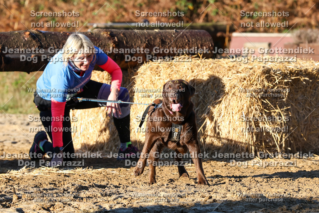 Dog Paparazzi - Strongdog 10-25-1115 | Dog Paparazzi Jeanette Grottendiek Fotografie & Videografie - Realisiert mit Pictrs.com
