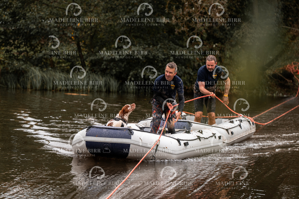 madeleinebirr-fotografie2025.campcanis.9-10Uhr-4 | hundefotografie-birr
