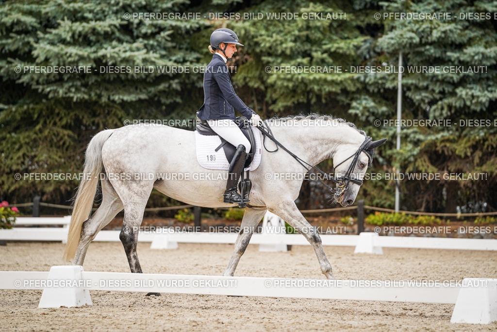 DSC07740 | Pferdegrafie