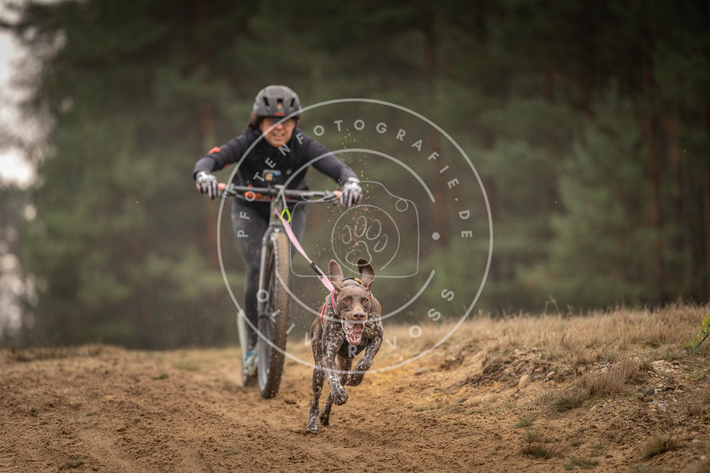 Pfotenfotografie_DV3A4658 | Hundefotografie, Tierfotograf, Pfotenfotografie, Fotoshooting Hund, Hunde Portrait, Hundesport, Hundeportraits, Heideshooting, Hunde, Sportfotograf, Hundefotograf, Turnierhundsport, THS,  - Realisiert mit Pictrs.com
