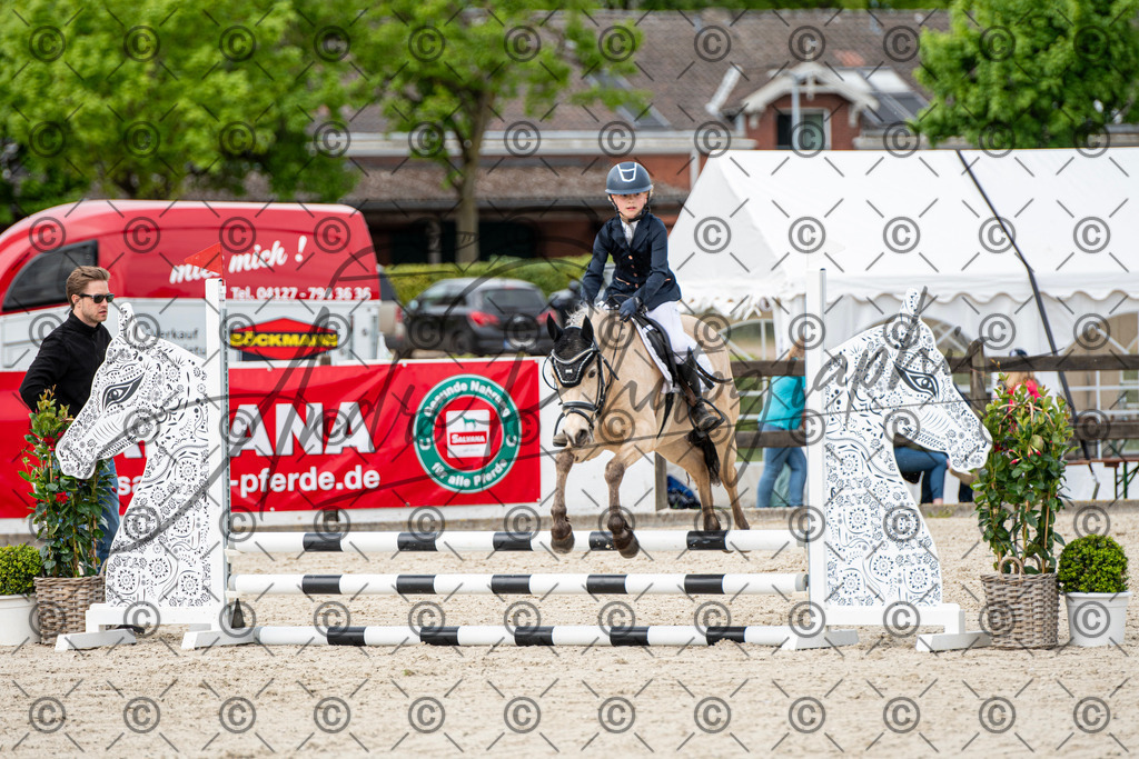 KPT_6091 | andre_photographic