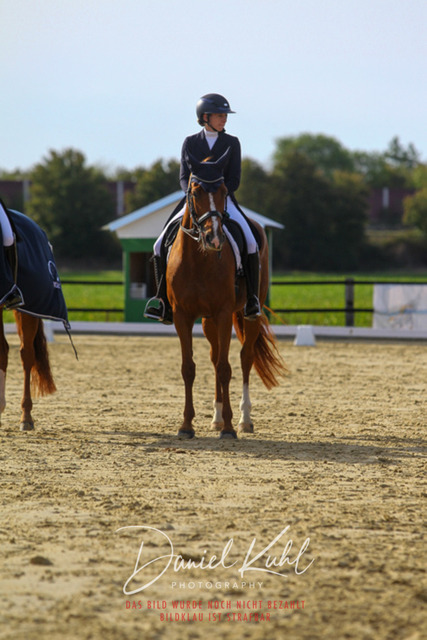 DKP45652 | Turniersportfotografie; Pferdefotografie; Dressurfotografie