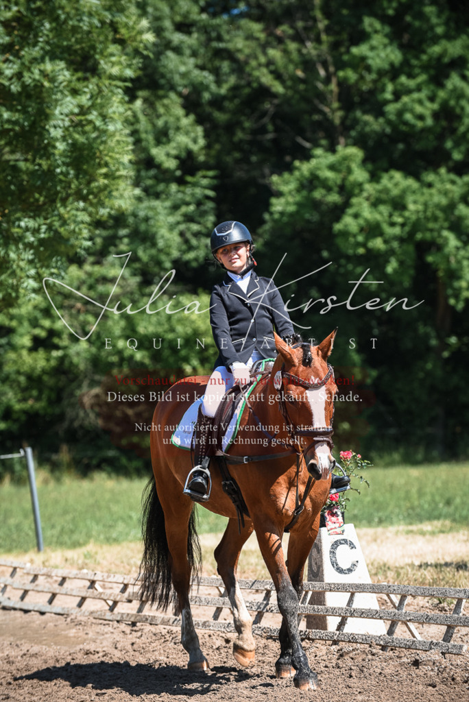 DSC_3407 | Pferde- und Turnierfotografie in Westsachsen. Pferdeportraits, Auftragszeichnungen und intuitive Kunst.