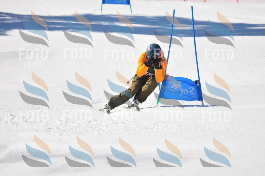 C3421 | holidayphoto