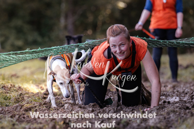 1155_ZZ91741 | kk-dogfotos