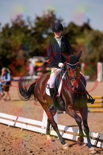 2026_10_03_Siefer-Hof_125801_Z81_47596900 | Professionelle Reitsport-, Turnier- und Eventfotografie von Robert Broda. Galerien mit ausgewählten und bearbeiteten Bildern direkt online ansehen und bestellen.