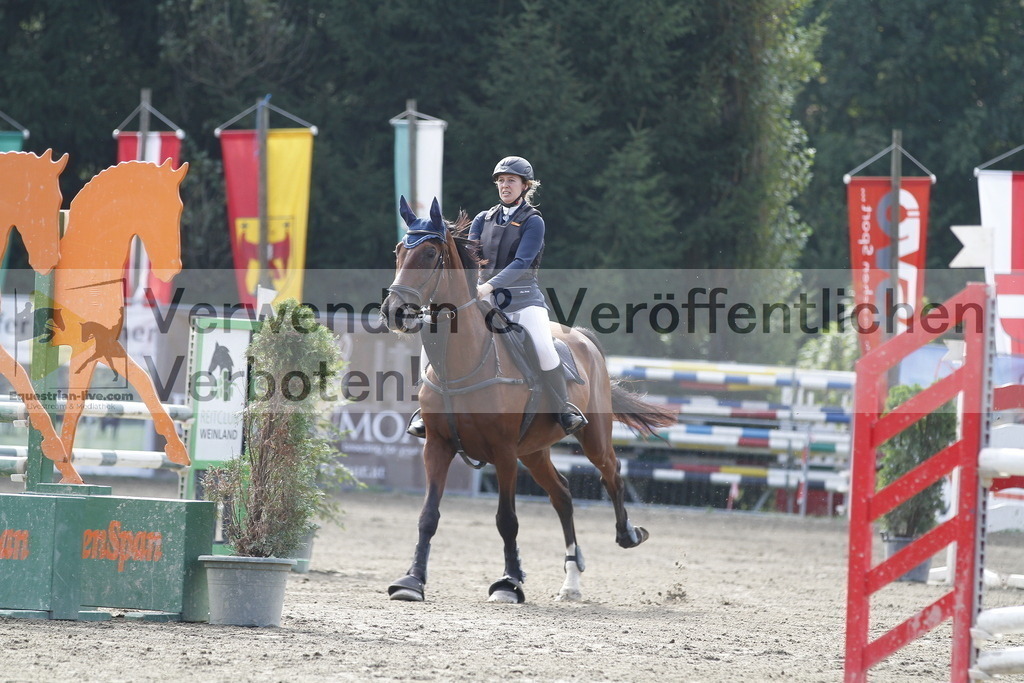 _MG_1146 | equestrian-live-com