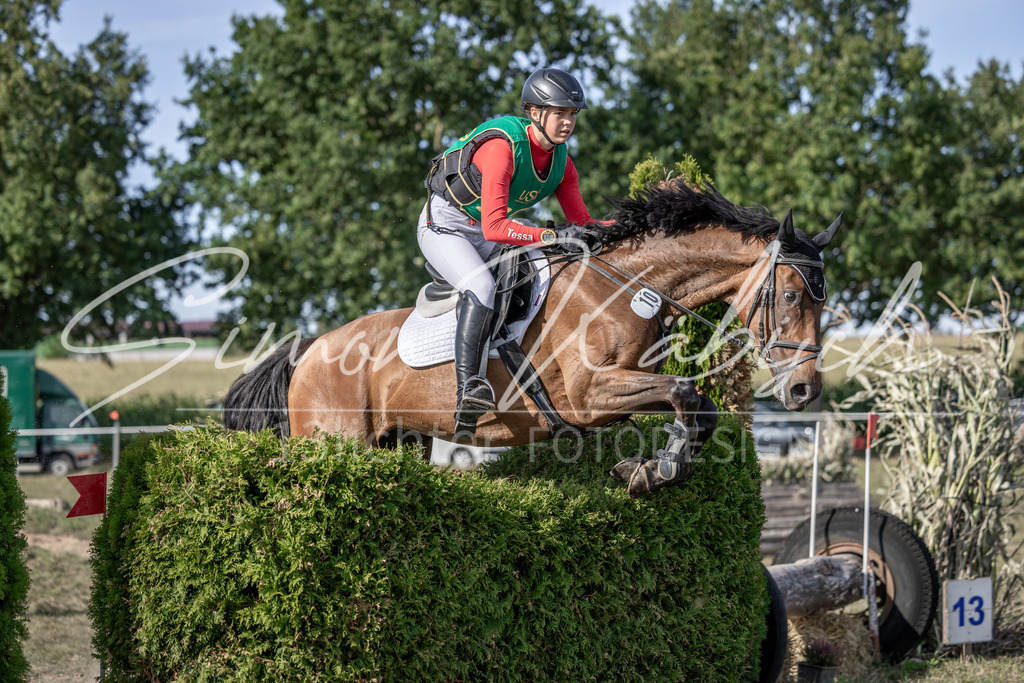20250907-_3LI3027 | Tierfotografie Pferde, Hunde, Katzen, Haustiere.
Turnierfotografie Reitturniere, Reiten, Springreiten, Dressur in Hanau, dem Main-Kinzig-Kreis und dem Rhein-Main- Gebiet um Frankfurt