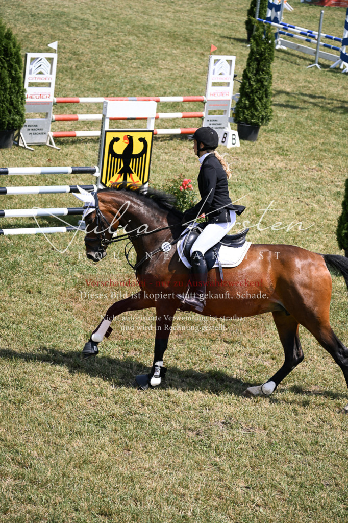 DSC_9870 | Pferde- und Turnierfotografie in Westsachsen. Pferdeportraits, Auftragszeichnungen und intuitive Kunst.