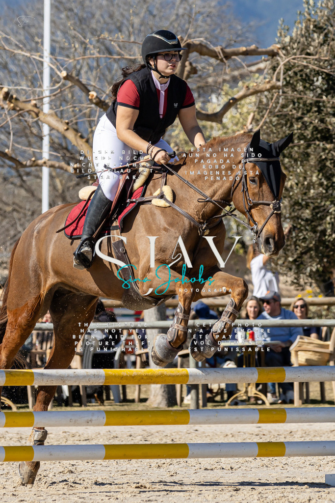 IMG_9231 | s-jay-photography - Realisiert mit Pictrs.com