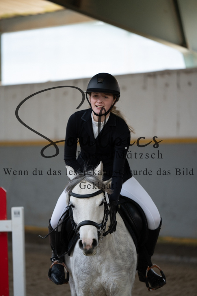 A7V03750 | Pferdefotograf