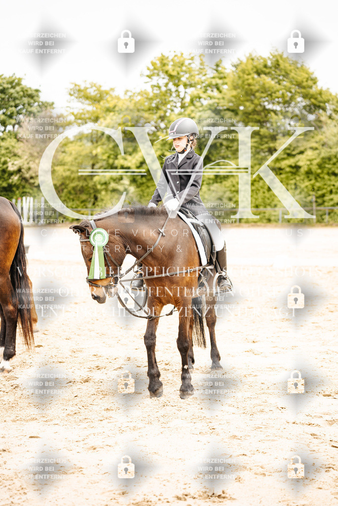 CK703675 | Turnierfotografie Pferdefotografie Trier Rheinland-Pfalz Pferdesport Reitsport Tierfotografie Sportfotografie Pferdevideo Pferdevideografie Equestrianvideography equestrianphotography  - Realisiert mit Pictrs.com
