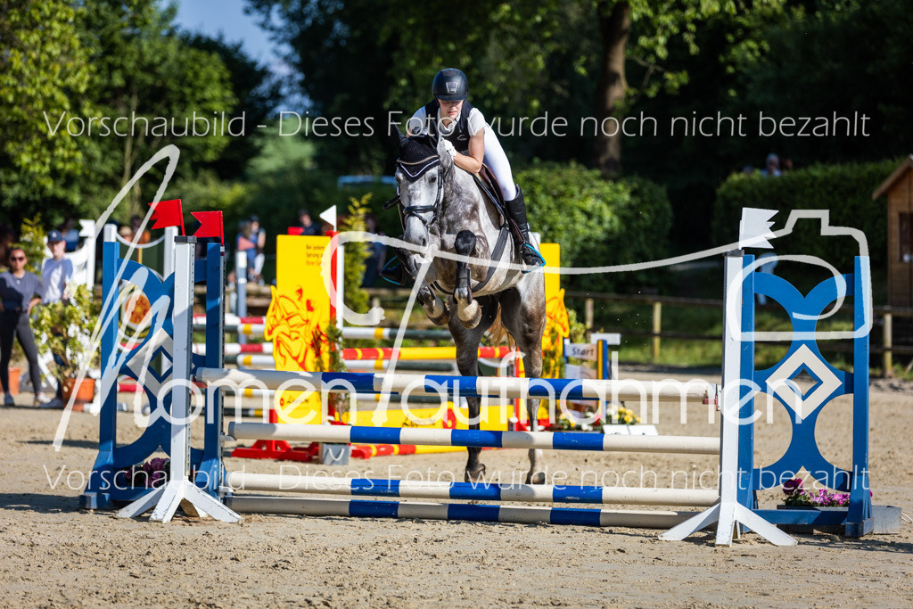 Donop24-ASpr-091 | MomenTaufnahmen Pferdesportfotos