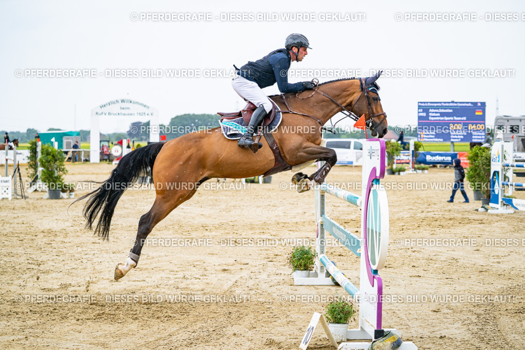 DSC08644 | Pferdegrafie