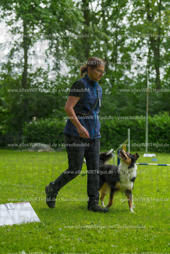 @allesWIRTHgut_Tierfotografie - www.allesWIRTHgut.de - 091801-7R506891 | Professionelle Tierfotografie in Mönchengladbach von Daniel Wirth (allesWIRTHgut). Liebevolle & natürliche Bilder von Hunden & Katzen für unvergessliche Erinnerungen.