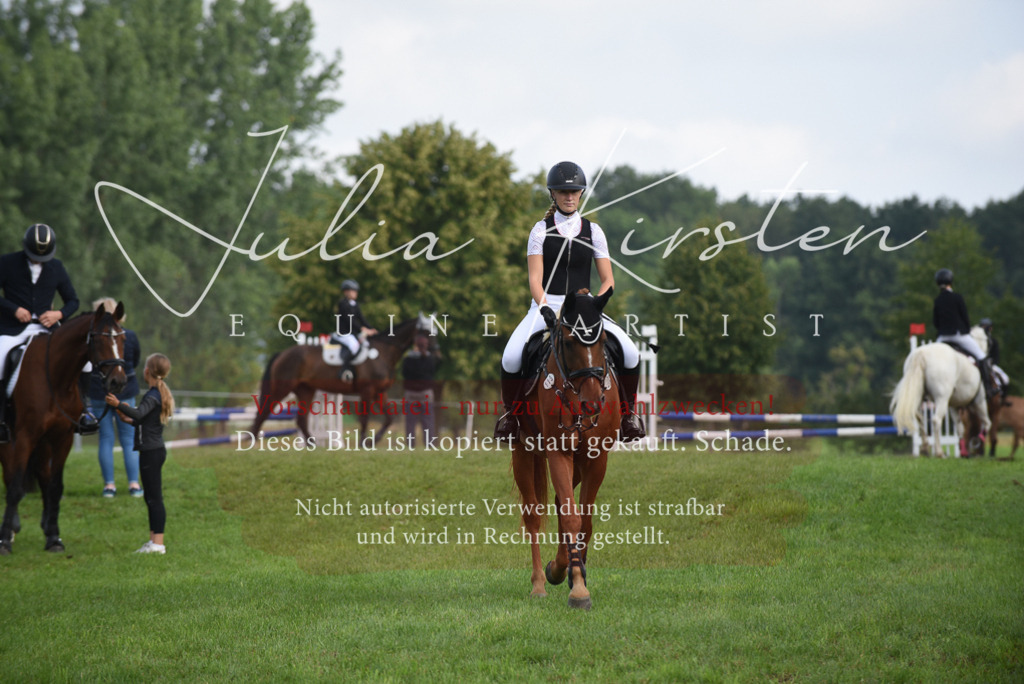 DSC_8605 | Pferde- und Turnierfotografie in Westsachsen. Pferdeportraits, Auftragszeichnungen und intuitive Kunst.