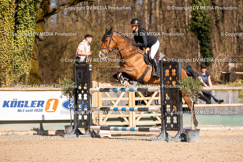 Kranichstein Tag 2-1000 | dv-media-shop - Realisiert mit Pictrs.com