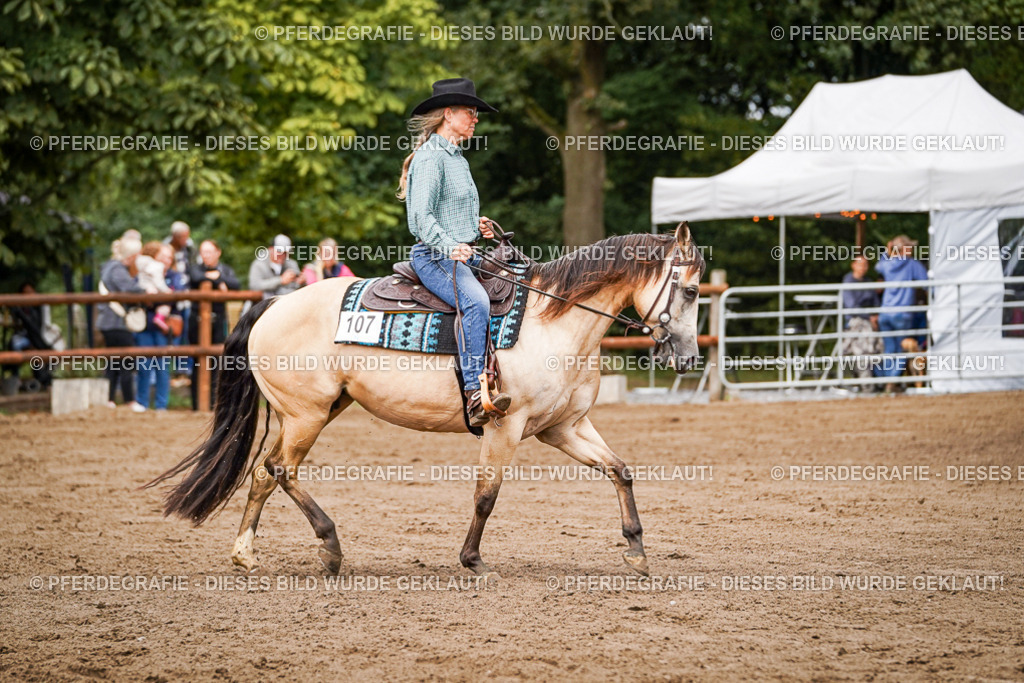 DSC06276 | Pferdegrafie